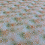 Printed cotton fabric