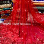 Gotta Patti Embridery Daman Work