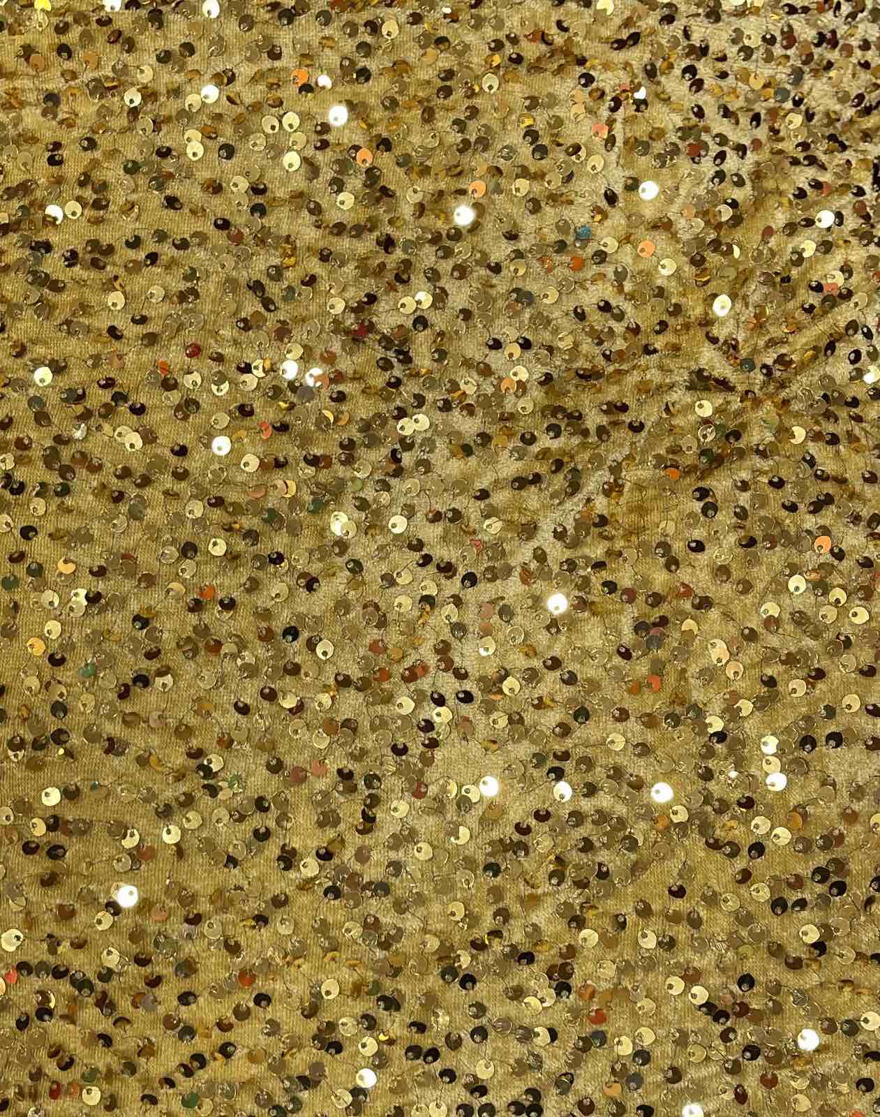 VELVET SEQUNCE FABRIC