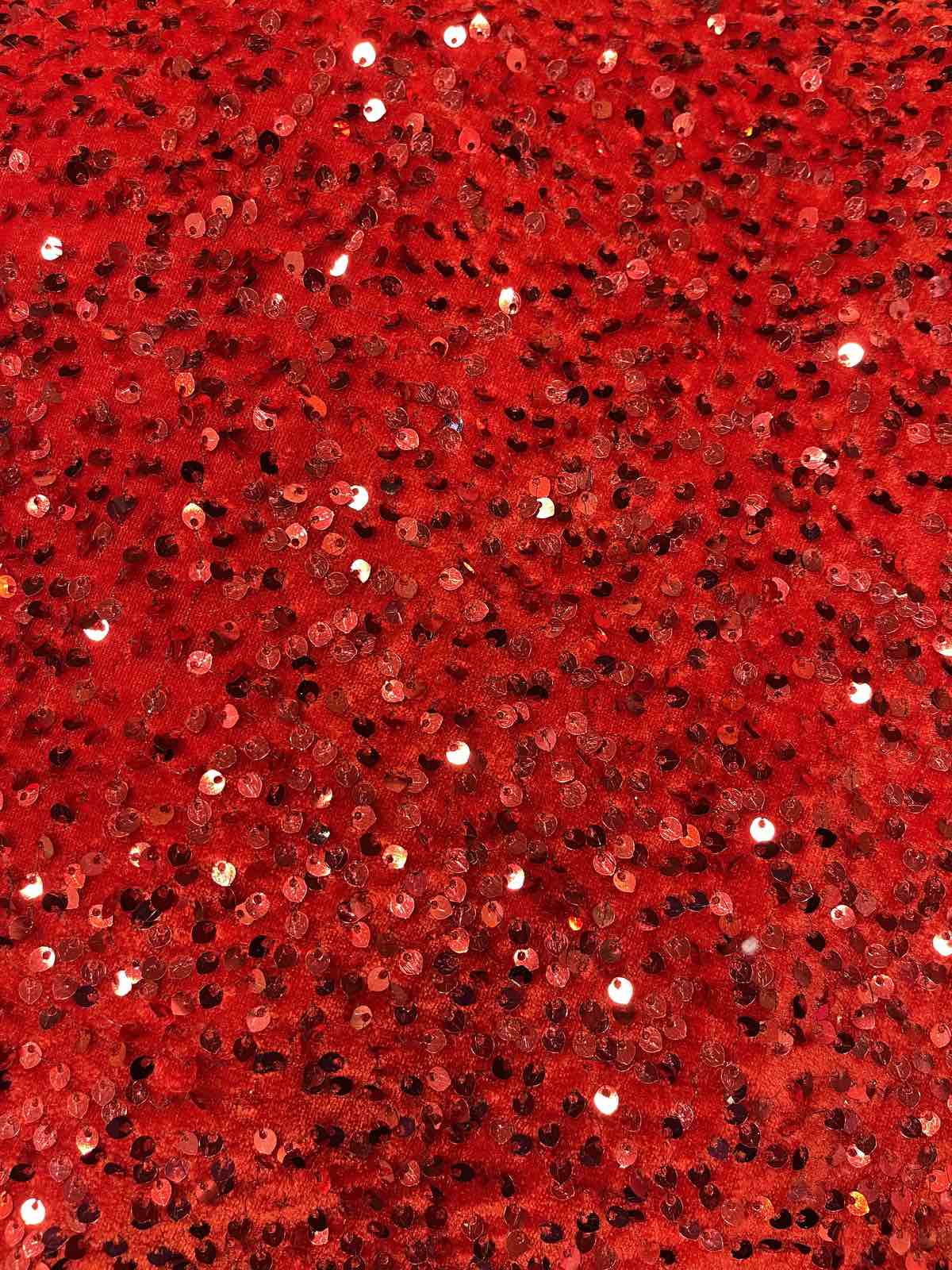 VELVET SEQUNCE FABRIC