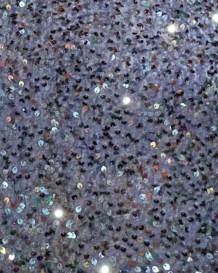 VELVET SEQUNCE FABRIC