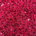VELVET SEQUNCE FABRIC