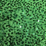 VELVET SEQUNCE FABRIC