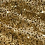 VELVET SEQUNCE FABRIC