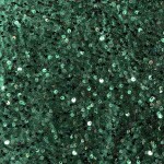 VELVET SEQUNCE FABRIC