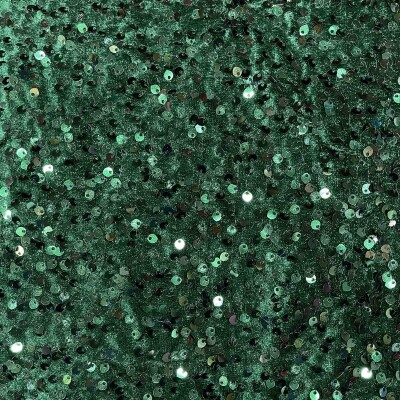 VELVET SEQUNCE FABRIC