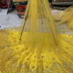 Gotta Patti Embridery Daman Work