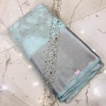 BANARASI ORGANZA